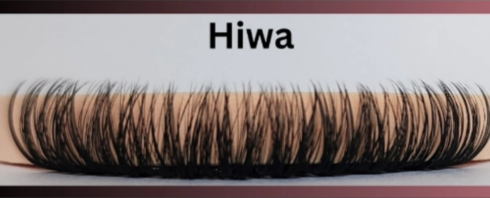 Hiwa