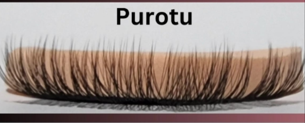 Purotu